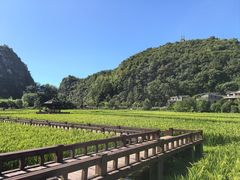 -高荡千年布依古寨旅游景区