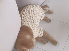 -怪兽屋·羊驼·猫咖·狗咖(俊华广场店)