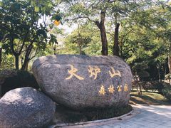 -火炉山森林公园