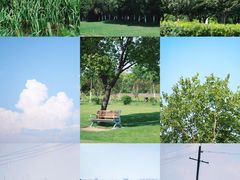 -瑶湖郊野森林公园