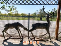 -北京鹿世界主题园