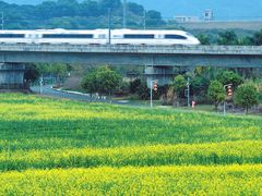 -光明小镇欢乐田园