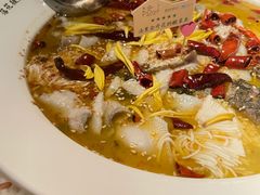 -胡桃里音乐酒馆(罗湖HALO广场店)
