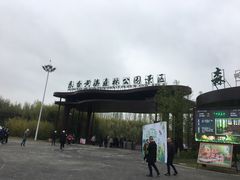 -黄海国家森林公园