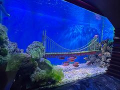 -太平洋海底世界