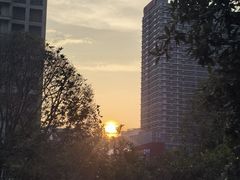 -木塔寺遗址生态公园