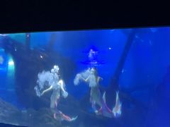 -江和美海洋公园