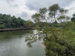 -香山湖公园