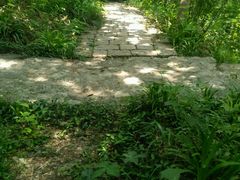 -镇江市南山风景名胜区竹林景区