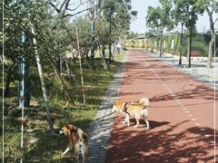 -上海山野camping·户外天幕烧烤·团建拓展营地