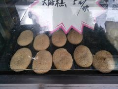 -龙丰楼包子(南方大厦店)