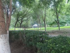 -长白岛森林公园