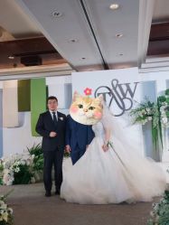 -蘭club婚礼策划