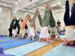 点击看大图 -亚太瑜伽普拉提学院