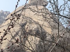 -北京凤凰岭