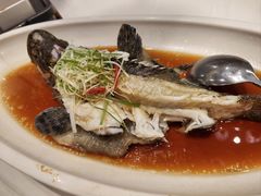 -海景壹号大酒店(惠钱路店)
