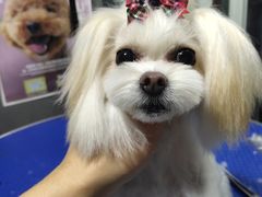 -喜狗宠物生活馆(岳州路店)