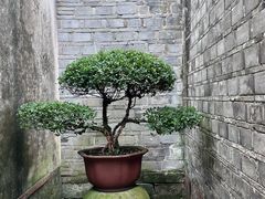 -天一阁博物院