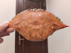 -北塘海鲜·天津菜(大光明桥旗舰店)