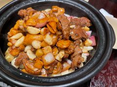 -滇野云南野生菌餐厅(陕西南路店)