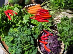 -丽华园(青少年宫店)