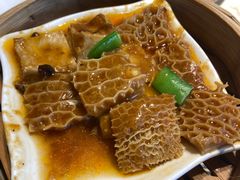-点都德·毕德寮