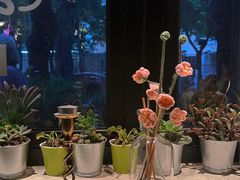 -BOCATA 西班牙餐厅(三里屯店)