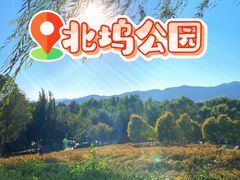 -北坞公园