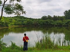 -盘龙城国家考古遗址公园