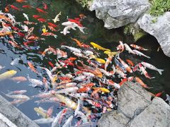 -西林禅寺