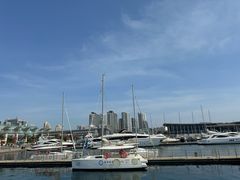 -青岛奥林匹克帆船中心