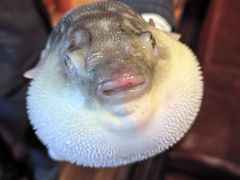 -永安鱼庄·镇江菜(丁卯店)