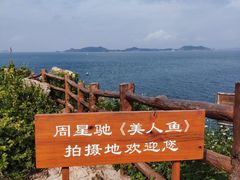 -杨梅坑