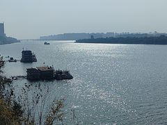 -杜甫江阁