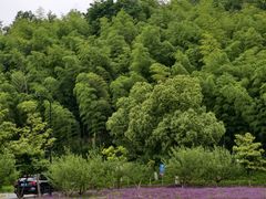 -南北湖风景区