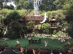 -新加坡飞禽公园