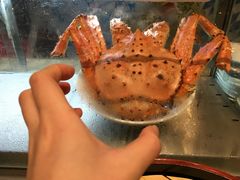 -圣廷苑酒店-世纪楼菲苑自助餐厅