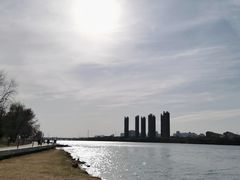 -长白岛森林公园