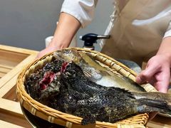 -镹·鱼料理  国产鱼使用店