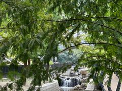 -白水寺森林公园