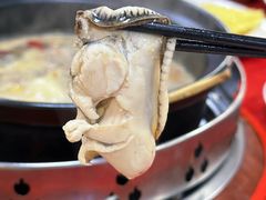 -花苑美食横琴生蚝火锅(拱北粤华路店)