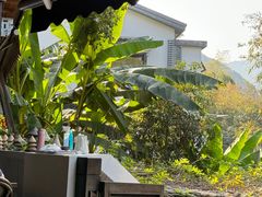 -素描餐厅(灵隐天竺店)