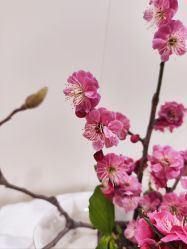 -今日陶艺(富力广场店)