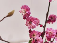 -今日陶艺(富力广场店)