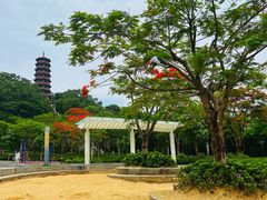 -红花山公园