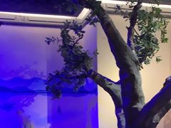 -绿茶餐厅(燕郊永旺店)