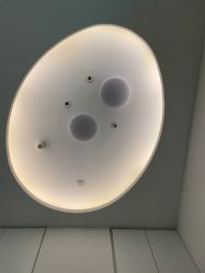 -agge蛋白医美