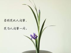 -荷兰布尔玛国际花艺学院