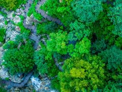 -九如山休闲旅游度假区