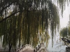 -丰台科技园生态主题公园